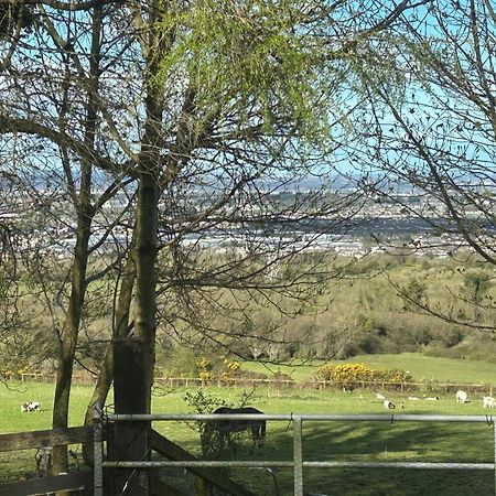Cozy Room In A Barn With Farm View Dublin Luaran gambar