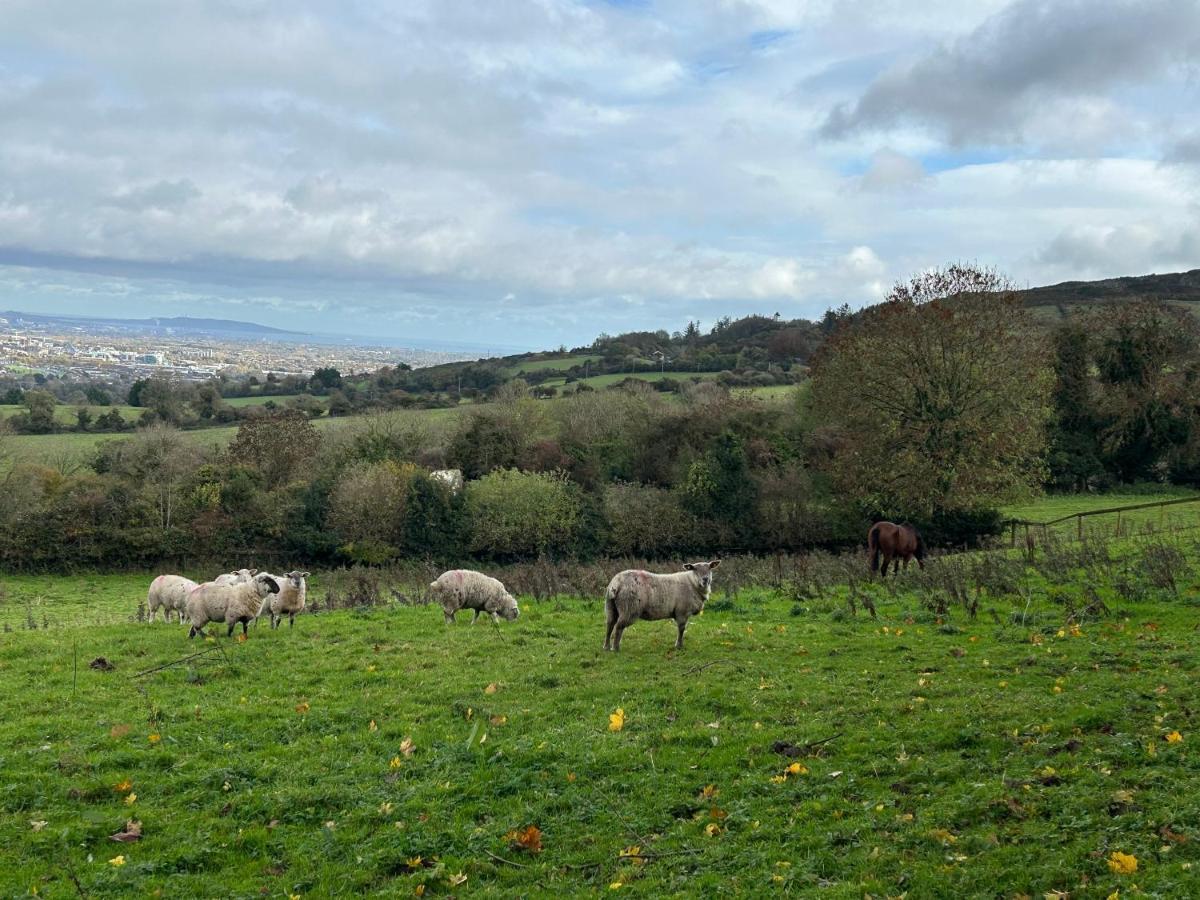 Cozy Room In A Barn With Farm View Dublin Luaran gambar