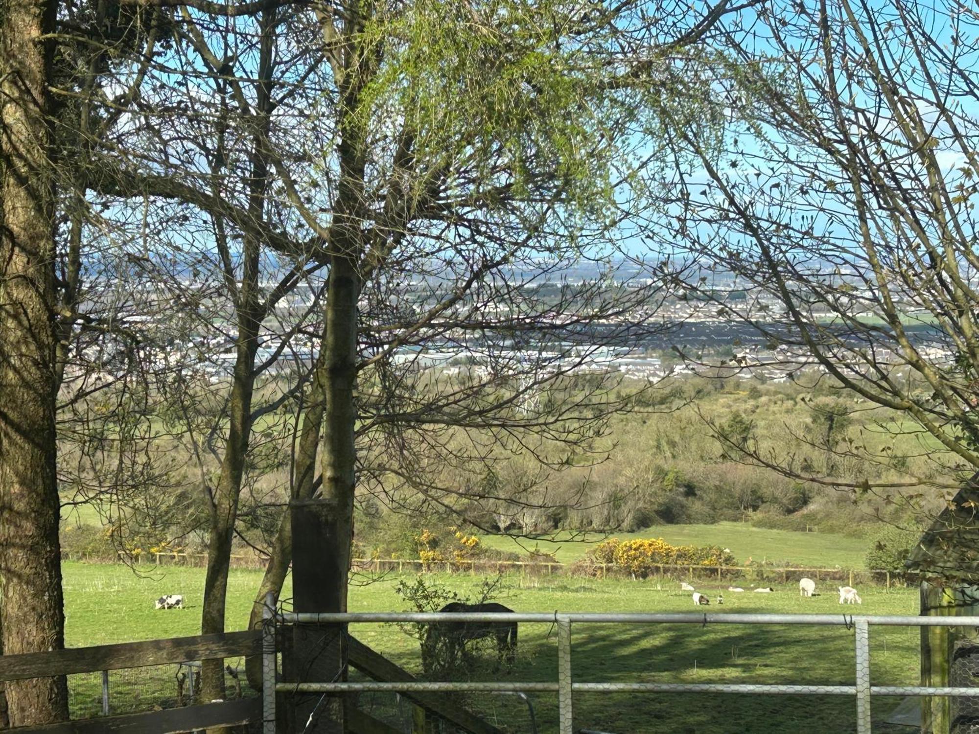 Cozy Room In A Barn With Farm View Dublin Luaran gambar